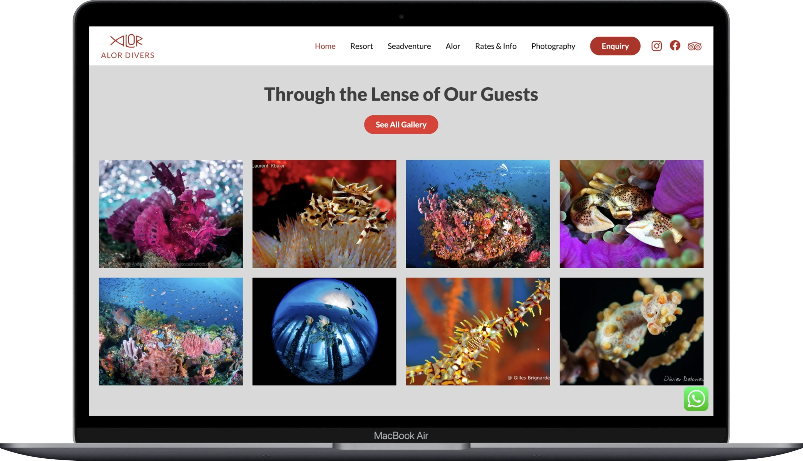 The page of the Alor Divers website displayed on a laptop.