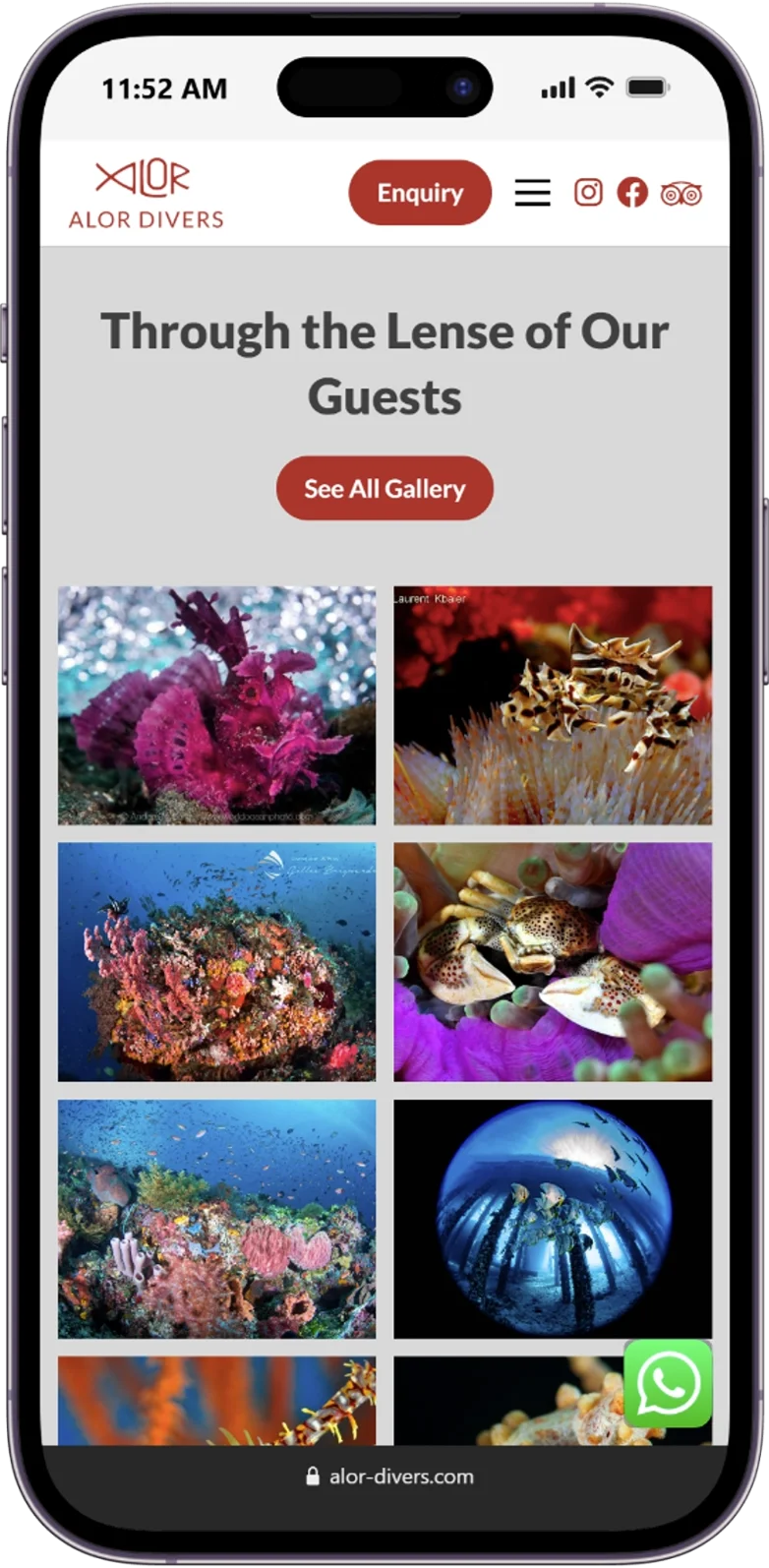Responsive page of the Alor Divers website displayed on a mobile device.