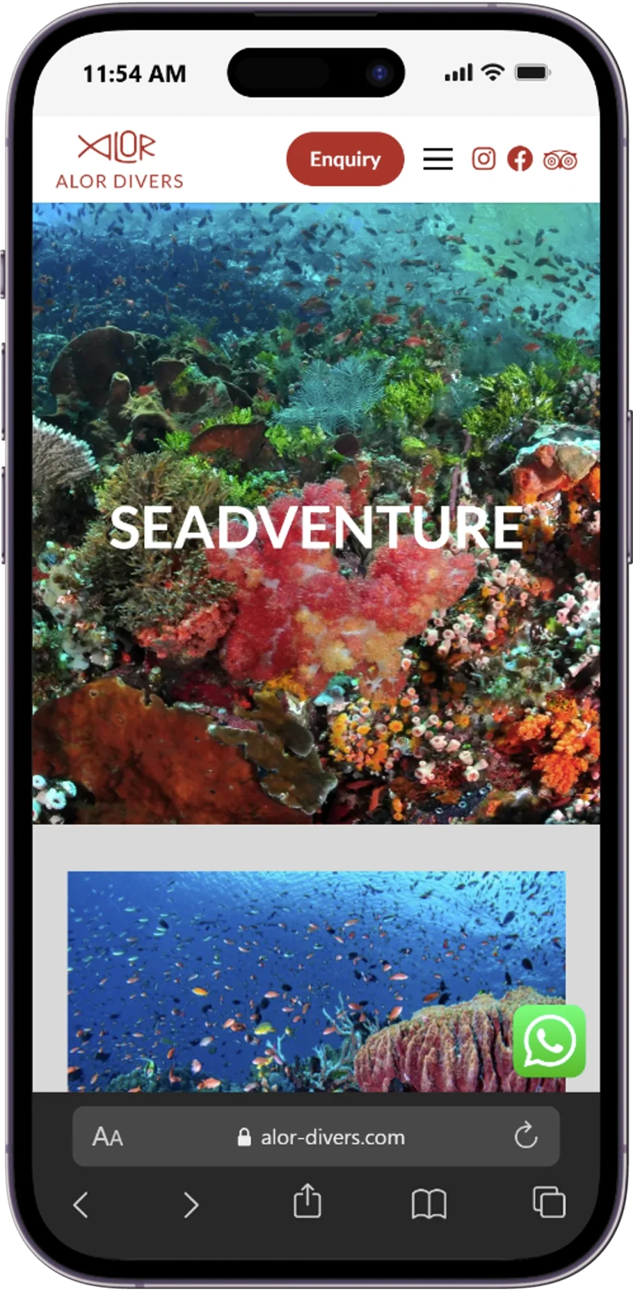 Responsive page of the Alor Divers website displayed on a mobile device.