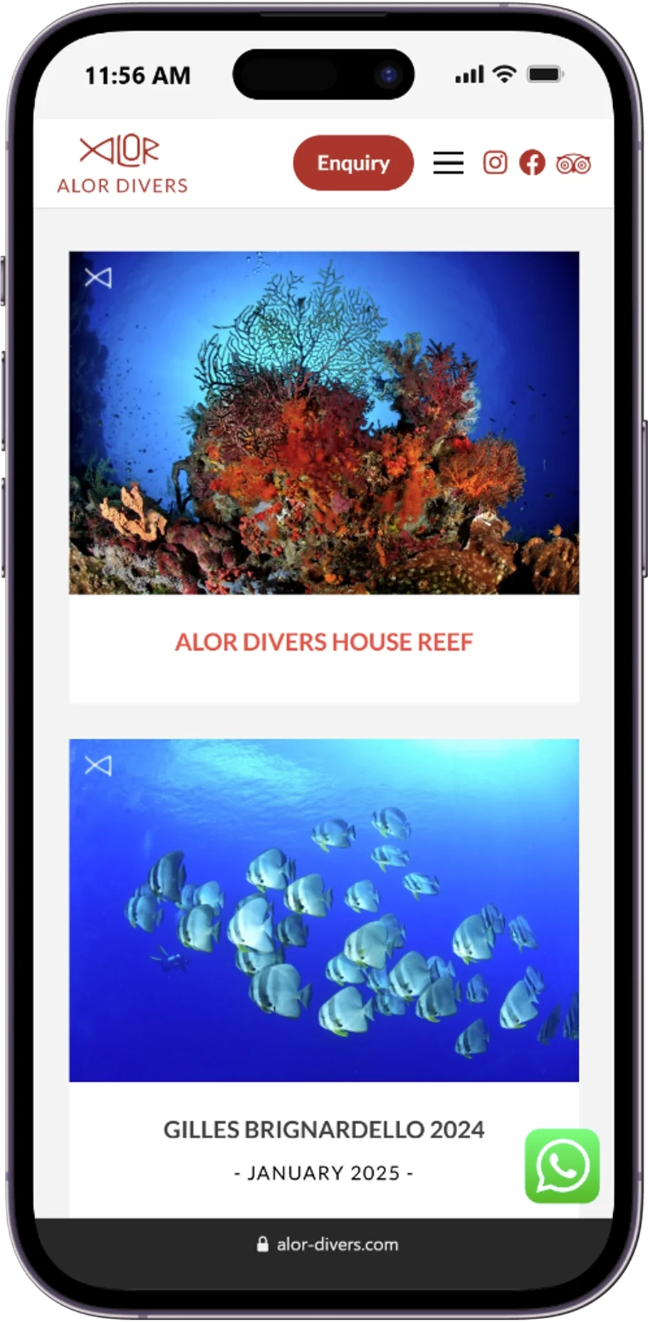 Responsive page of the Alor Divers website displayed on a mobile device.