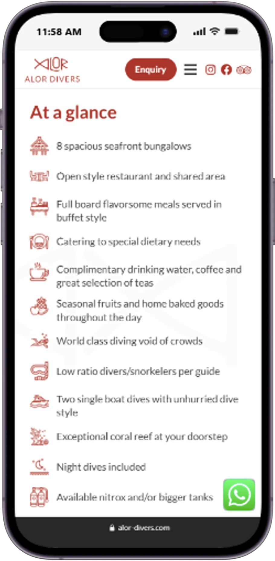 Responsive page of the Alor Divers website displayed on a mobile device.
