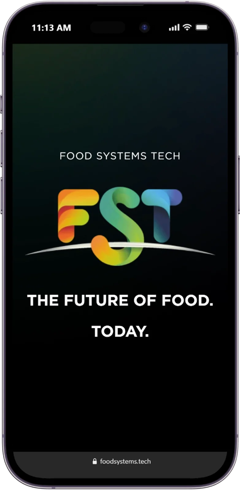 Responsive Homepage of the fst website displayed on a mobile device.