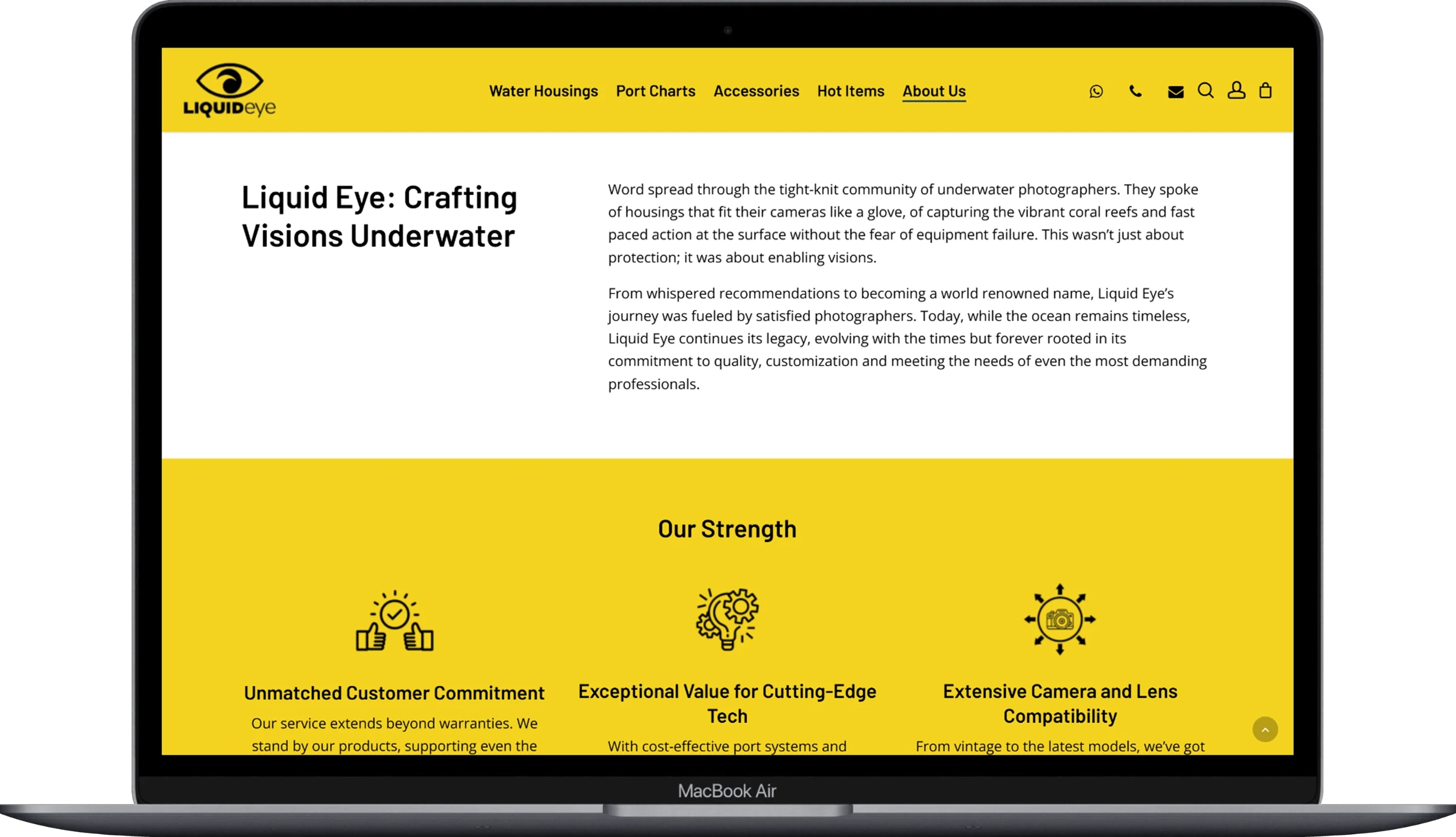 The page of the liquid-eye website displayed on a laptop.
