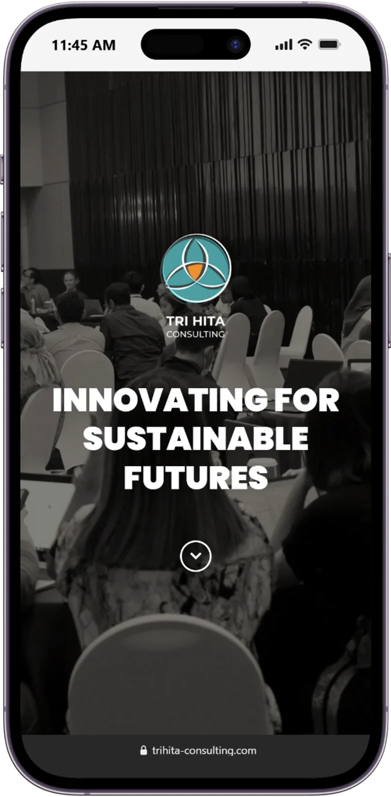 Responsive Homepage of the trihita website displayed on a mobile device.