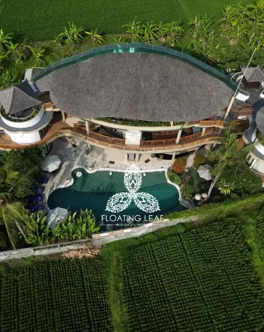 header-floating-leaf